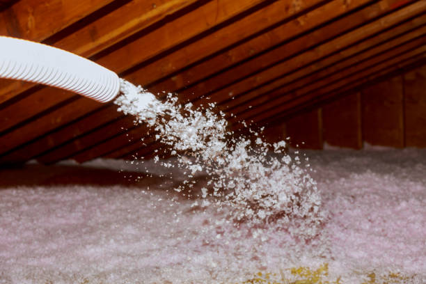 Best Cellulose Insulation in Thorndale, TX