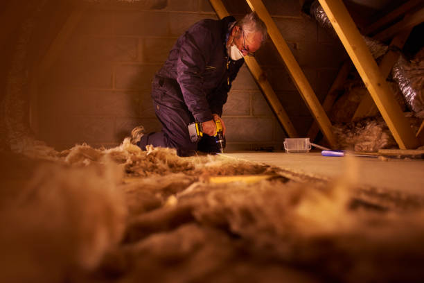 Best Cellulose Insulation in Thorndale, TX